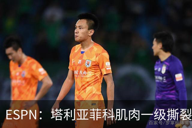 ESPN：塔利亚菲科肌肉一级撕裂，至少缺席世界杯前两场小组赛